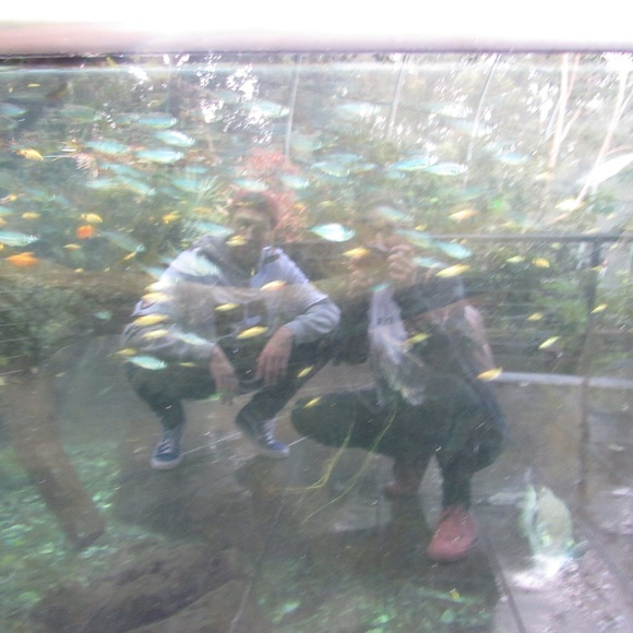 Meet your Posher, Natalie - Picture 9 of 13